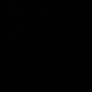 Meet your Posher, Meg